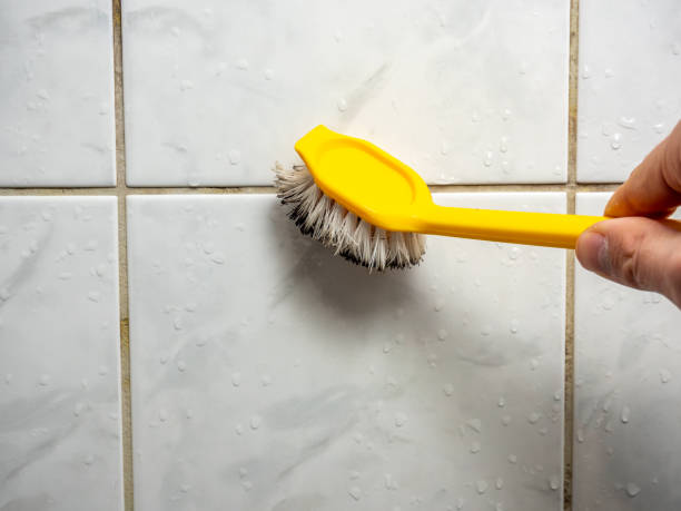 Best Toxic Mold Removal  in The Homesteads, TX