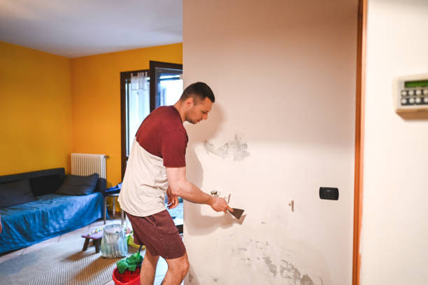 Best Mold Damage Repair  in The Homesteads, TX